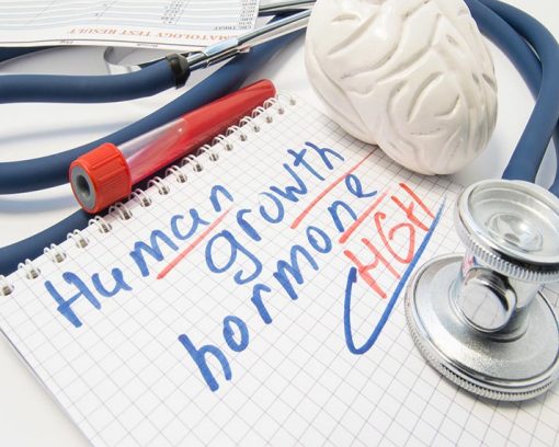 Tips About How to Release the Human Growth Hormone